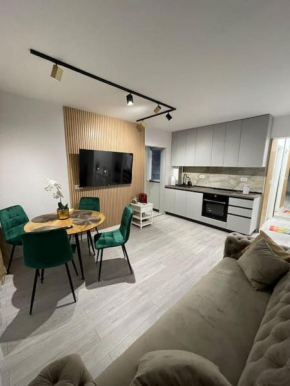 Oxana Apartments - 3 camere - Timisoara